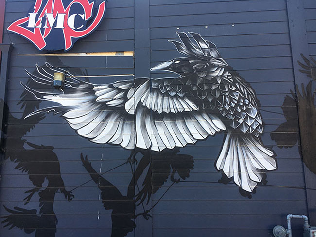 Black Bird art